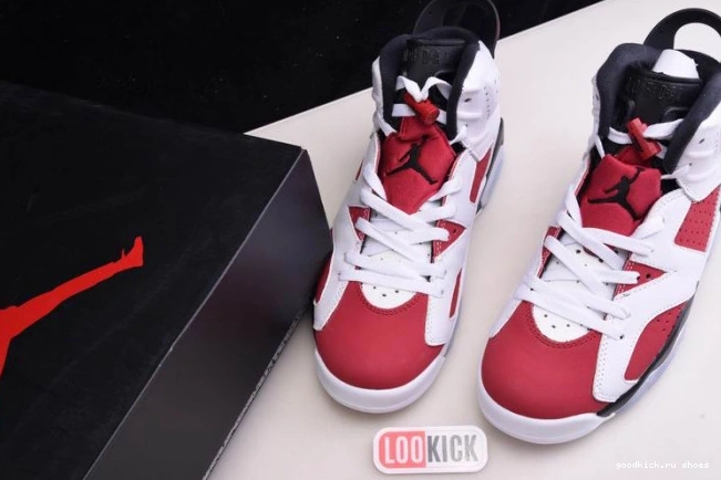 JORDAN 6 CT8529-106 2021 RETRO AIR 'CARMINE' 0812